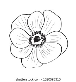 Isolated sketch of a flower. Vector illustration design