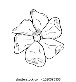 Isolated sketch of a flower. Vector illustration design
