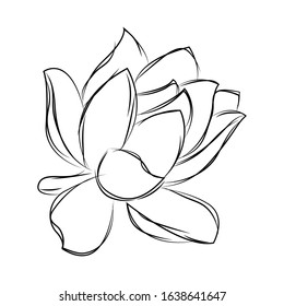 Isolated sketch of a flower - Vector illustration