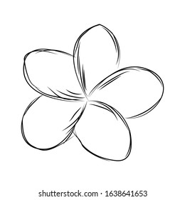 Isolated sketch of a flower - Vector illustration