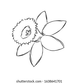 Isolated sketch of a flower - Vector illustration