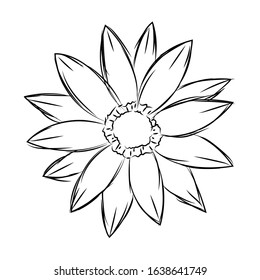 Isolated sketch of a flower - Vector illustration
