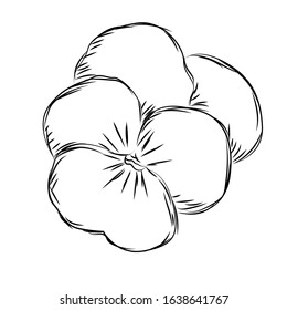 Isolated sketch of a flower - Vector illustration