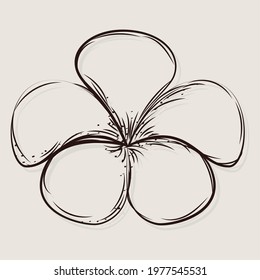 Isolated sketch of a flower Vector illustration