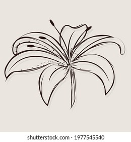 Isolated sketch of a flower Vector illustration