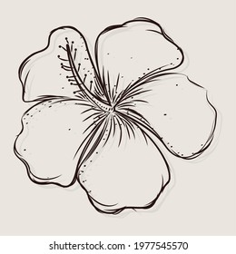 Isolated sketch of a flower Vector illustration