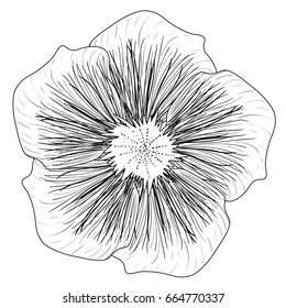 Isolated sketch of a flower, Vector illustration