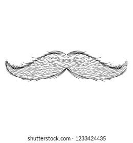 Isolated sketch of moustache. Vector illustration design