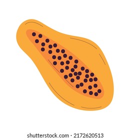 Isolated sketch of a papaya icon Flat design Vector