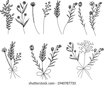 isolated, sketch of a plant, grass, flowers in a bouquet, set