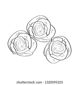 Isolated sketch of a roses. Vector illustration design