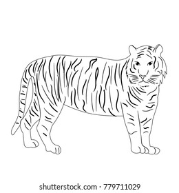 Realistic Image Tiger Vector Illustration Stock Vector (Royalty Free ...