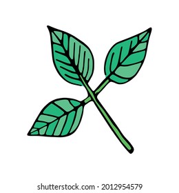 Isolated sketch of a tree leaves Vector illustration