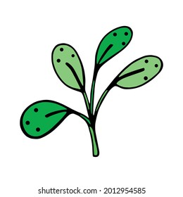 Esbozo aislado de hojas de árbol Ilustración vectorial