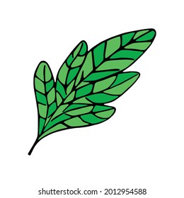Esbozo aislado de hojas de árbol Ilustración vectorial