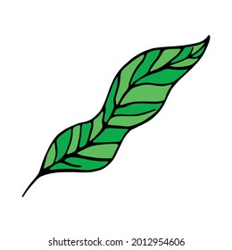 Isolated sketch of a tree leaves Vector illustration