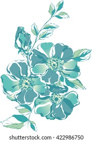 Isolated sketched oleanders - flower