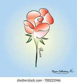 Isolated sketched rose flower with text collection