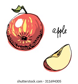 Isolated sketchy style apple/ Doodle fruits/ Hand drawn vector illustration