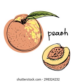 Isolated Sketchy Style Peach/ Doodle Fruits/ Hand Drawn Vector Illustration