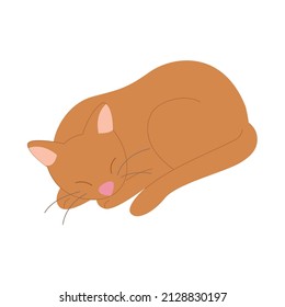 Isolated sleeping cat Domestic animal Vector