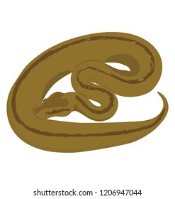 
An isolated snake flat icon vector 
