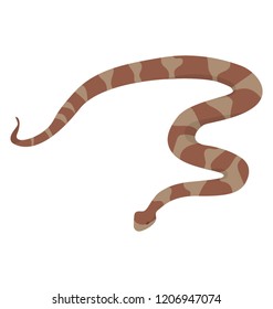 
An isolated snake flat icon vector 
