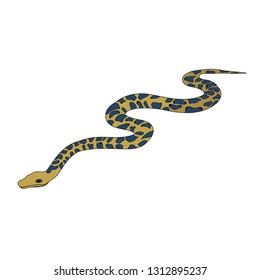  isolated, snake, on a white background, flat style snakes