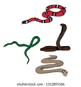  isolated, snake set, on white background, flat snake style