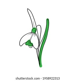 Isolated snowdrop on a white background. Line sketch with colored spots. Spring symbol. Vector illustration