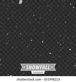 Isolated Snowfall / EPS10 Vector