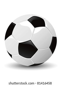 isolated soccer ball vector