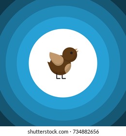 Isolated Sparrow Flat Icon. Bird Vector Element Can Be Used For Sparrow, Bird, Wing Design Concept.