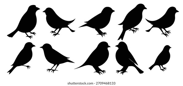 isolated sparrow silhouettes in various poses on white
