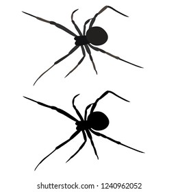 isolated spider, insect, silhouette