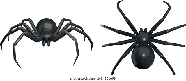 Isolierte Spider-Oben- und Vorderansicht. 3D-Spinne