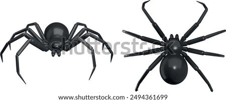 isolated spider top and front view. 3d spider