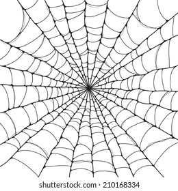 Isolated Spider Web