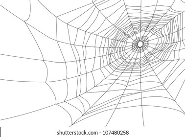 isolated spider web or cobweb background for halloween.