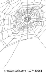 isolated spider web or cobweb background for halloween.