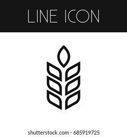 Isolated Spike Outline. Barley Vector Element Can Be Used For Barley, Spike, Sheaf Design Concept.