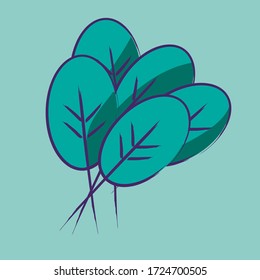 isolated spinach on a green background vector