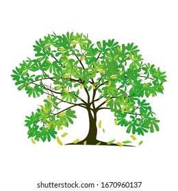 isolated spring tree on a white background. vector illustration