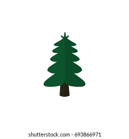 Isolated Spruce Flat Icon. Park Vector Element Can Be Used For Spruce, Tree, Park Design Concept.