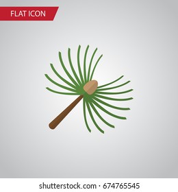 Isolated Spruce Leaves Flat Icon. Rosemary Vector Element Can Be Used For Rosemary, Spruce, Leaves Design Concept.