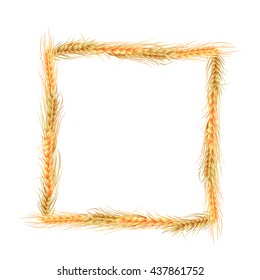 isolated square frame of rye, barley and oats