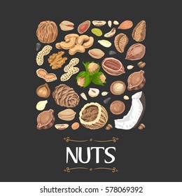 Isolated square of nuts and seeds. Vector illustration for your design