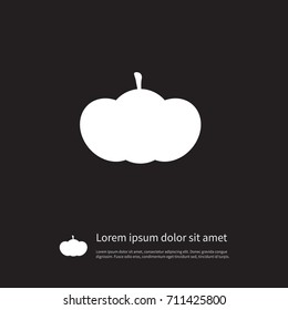 Isolated Squash Icon. Harvest Vector Element Can Be Used For Harvest, Pumpkin, Squash Design Concept.