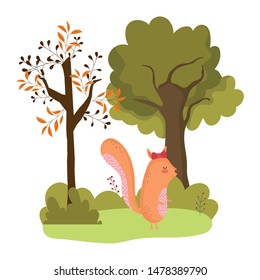 Isolated squirrel cartoon vector design