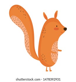 Isolated squirrel cartoon vector design